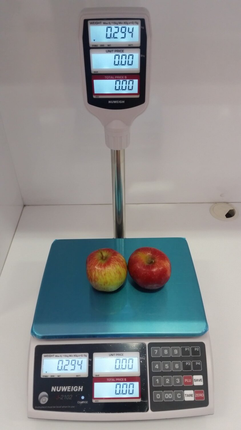 J2102 Price Computing Scale with Pole